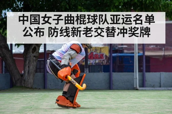 field hockey goalkeeper defense save